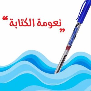 أقلام حبر جاف المثالي المتميز المطور 12 قلم